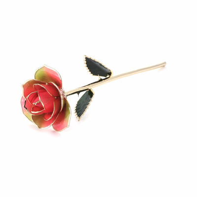 

DAYA 24K Gold Rose Unique for Mother Wife Girlfriend Her Women Real Rose Dipped in Gold - Rainbow with Stand