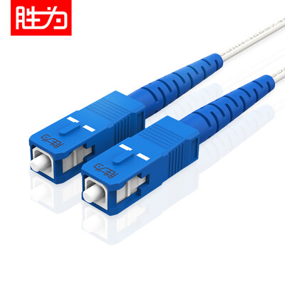 

Shengwei shengwei leather fiber optic patch cord carrier-grade cable indoor single-mode single-core fiber optic cable light cat 1 core 2 wire finished jumper 20 m FSIP-1020