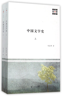 

中国文学史（上、下）