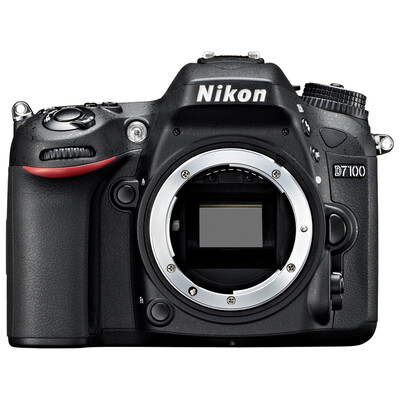 

Nikon (Nikon) D7100 одиночный
