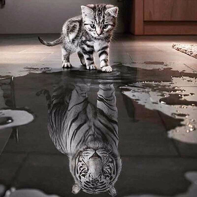 

3030 cm 5050 cm DIY 5D Diamond Cat Pattern Painting Kit Mosaic Embroidery Cross Stitch Craft Home Wall Decor