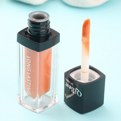 

Fashion Makeup Waterproof Long Lasting Liquid Cosmetic Lipstick Lip Gloss 0