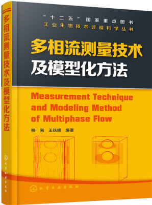 

多相流测量技术及模型化方法