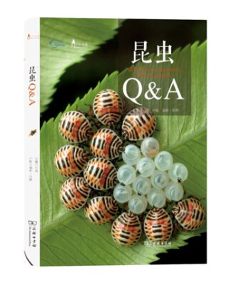 

昆虫Q&A/自然观察丛书