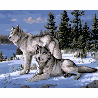 

No Frame Wolf Animals DIY Painting By Numbers Kits Paint On Canvas Acrylic Coloring Painitng By Numbers For Home Wall Decor