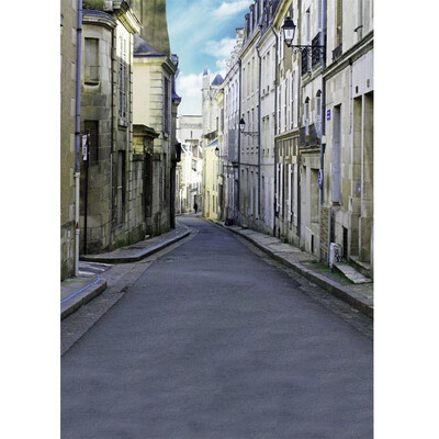 

Quiet Roadway Photo Backdrop 57FT Vinyl Fabric Cloth Digital Printing Photo Background s-753
