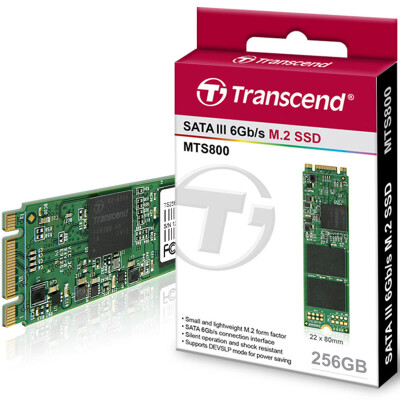 

Transcend MTS800 256G M.2 2280 SSD