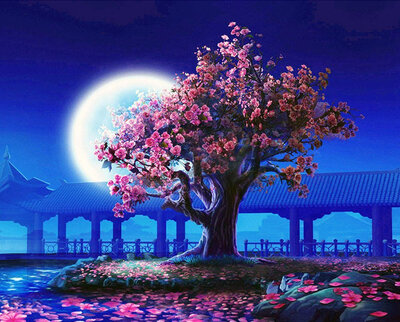 

Beautiful Night Scene Oil Painting Diy Paint by Number Kits on Canvas with Acrylic Paints without Wooden Framed for Adults - Flowe