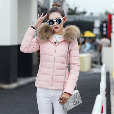 

2018 winter womens hooded Slim thin cotton coat large fur collar cotton jacket