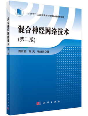 

混合神经网络技术（第二版）