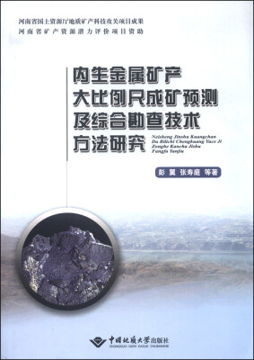 

内生金属矿产大比例尺成矿预测及综合勘查技术方法研究