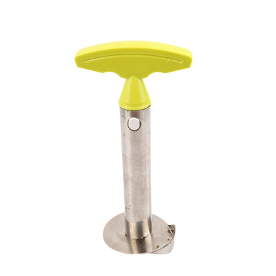 

Cntomlv из нержавеющей стали ананас пилтер Cutter Slicer Corer Peel Core Tools Fruit Vegetable Knife Gadget Кухонные принадлежност