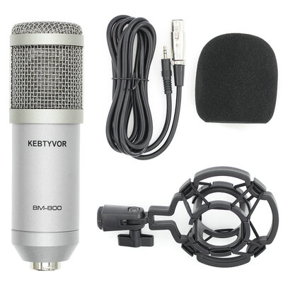 

Professional BM800 Condenser Microphone Pro Audio Studio Vocal Recording Mic Shock Mount