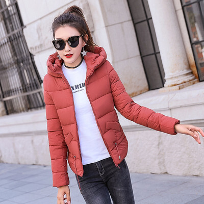 

New Arrival Womens Cotton Jacket Female Small Cotton Coat