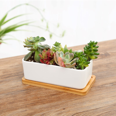 

Indoor Rectangle White Ceramic Planter Pot Cactus Succulent Planter with Drain Hole & Bamboo TrayPlants are not included