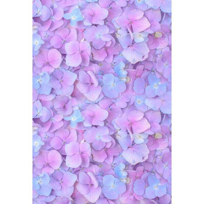 

Purple Blossom Photo Backdrop 57FT Vinyl Fabric Cloth Digital Printing Photo Background -3175