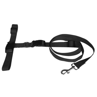

Nylon Dog Leash Rope Training Slip Lead Strap Adjustable Traction Collar