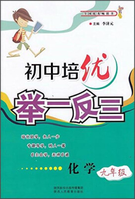 

初中培优举一反三 化学（九年级）