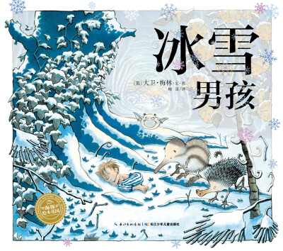 

海豚绘本花园冰雪男孩