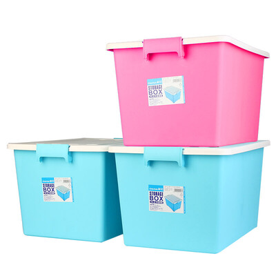 

Camellia Scrub Storage Box Organizer 35L 28011T 3 Pack