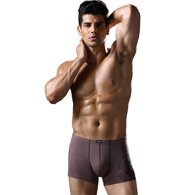 

Health men &39s underwear fashion printing cotton men&39 s underwear 2 color 99612XXL