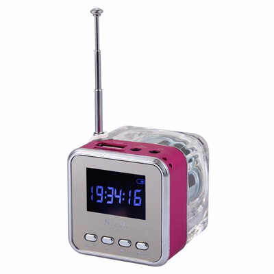 

NIZHITT029 Mini Flashing Speaker