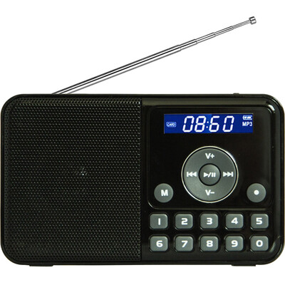 

Panda DSD DS-172 mini audio card small speaker FM radio mp3 player middle&old FM radio semiconductor lithium battery black