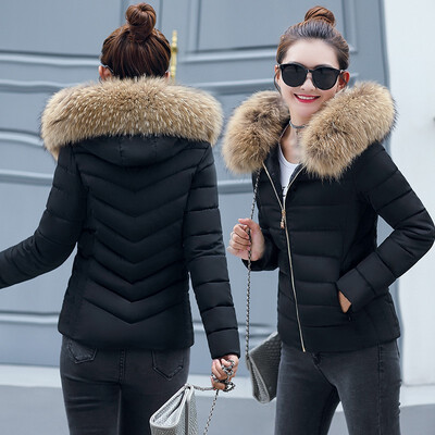 

2018 winter womens hooded Slim thin cotton coat large fur collar cotton jacket
