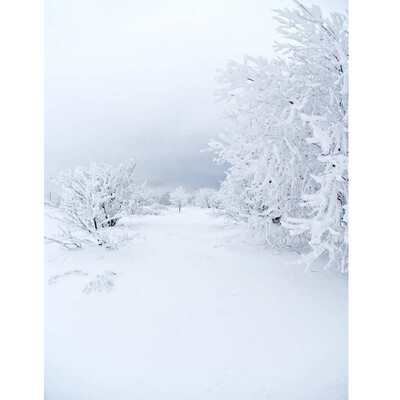 

Xmas Snow Photo Backdrop 57FT Vinyl Fabric Cloth Digital Printing Photo Background st-586