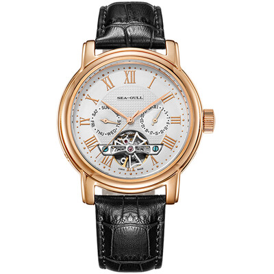 

SEAGULL Mens Watch Mechanical Waterproof