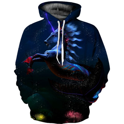 

Mens Hoodie 3D Printed Women Pullover Sweater