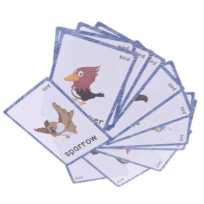 

13 Bird animals Flash Cards-English word learning card & pocket size flash card for Preschool children-English Vocabulary Cards