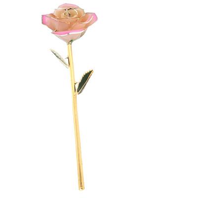 

DAYA Love Forever Long Stem 24k Gold Foil Trim Red Rose Flower Best Gift for Valentines Day Mothers Day Anniversary Birthda