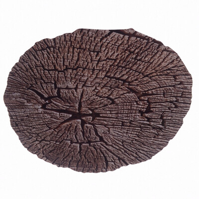 

Mouse Pad Irregular Natural Rubber Mousepad Anti-slip Mouse Mat 3D Lifelike Wood Pattern Printing for Gaming Gamer PC