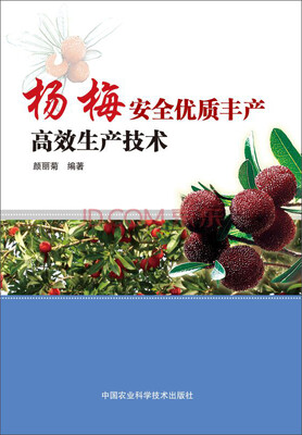 

杨梅安全优质丰产高效生产技术