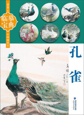 

临摹宝典·中国画技法：孔雀