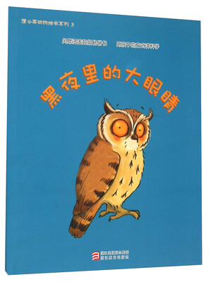 

黑夜里的大眼睛