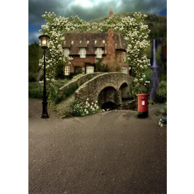 

Stone Bridge Photo Backdrop 57FT Vinyl Fabric Cloth Digital Printing Photo Background s-739