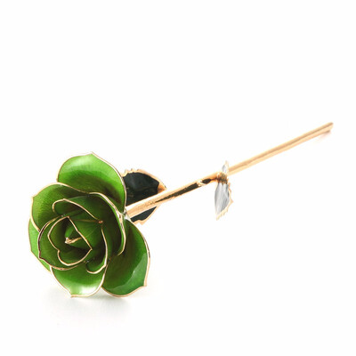 

Daya light green Gold Rose Gold Rose Love Forever Long Stem Dipped 24k Rose Foil Trim Gifts for Her light green