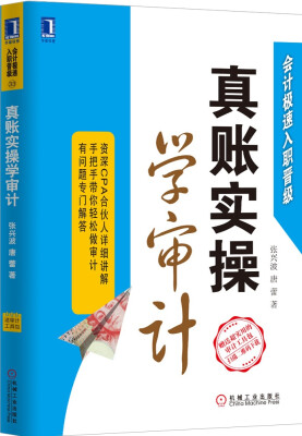 

真账实操学审计