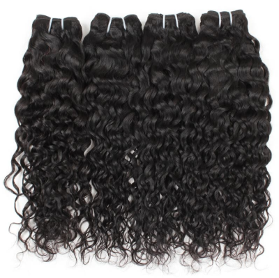 

ishow Hot Sell Brazilian Water Wave Virgin Hair 10PCS Wholesale Price Brazilian Virgin Hair Wet&Wavy Virgin Hair Extensions