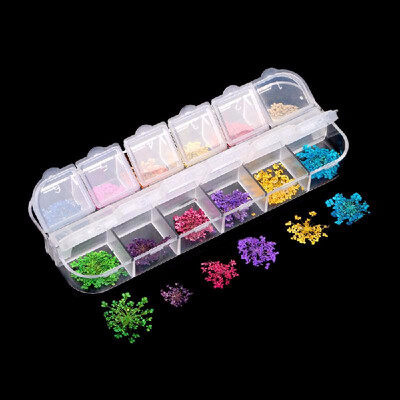 

12 Colors Real Nail Dried Flowers Nail Art Decoration DIY Tips Fashion New ZO5E2