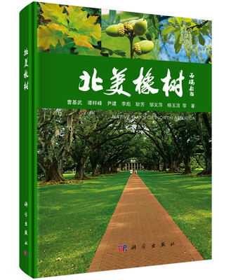 

北美橡树