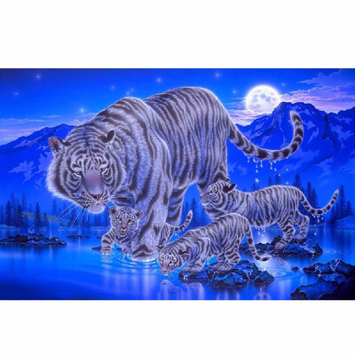 

5D Diamond Painting Full Drill DIY Kit Arts Crafts Embroidery Cross Stitch Rhinestone Canvas Wall Home Decor Style 1