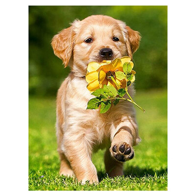 

UpperX 5D DIY diamond embroidery dog with flower diamond painting Cross Stitch full round Rhinestone home decoration
