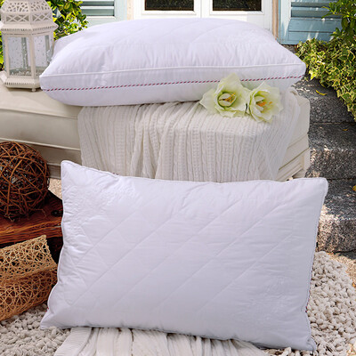 

Jingdong Supermarket Fu Anna home pillow pillow pillow soft embroidery deep sleep pillow 70 45CM white