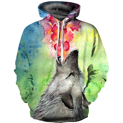 

QL-477 Mens Hoodie 3D Printed Women Pullover Sweate
