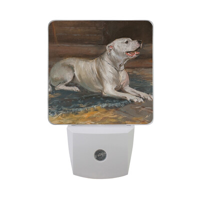 

ALAZA LED Night Light With Smart Dusk To Dawn SensorLips Seamless Pattern Plug In Night Light