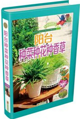 

阳台种菜种花种香草