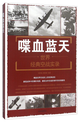 

喋血蓝天：世界经典空战实录
